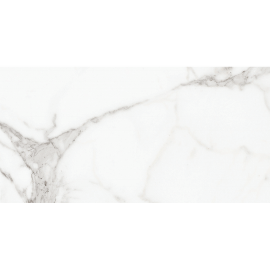 Marmoreal Carrara Marble Grey Gloss Ceramic Wall Tiles 30cmx60cm